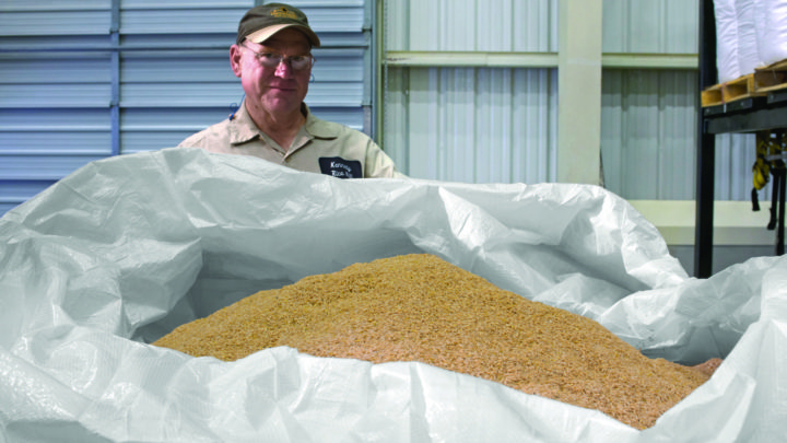 Kennedy rice